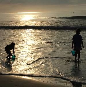 Meet your Posher, Jamie-ann